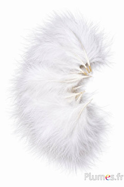 Tacchino marabù - 8-12 cm - bianco  